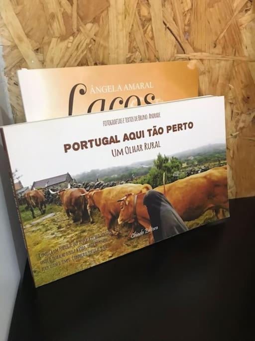 Rustico T1 No Centro Cidade 瓜尔达 外观 照片